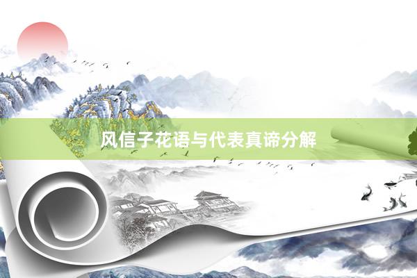 风信子花语与代表真谛分解